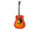 FG820 Autumn Burst Right Front