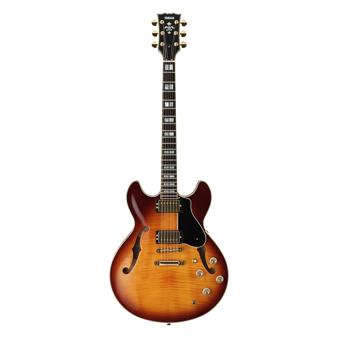 Hollow Body - Overview - Electric Guitars - Products