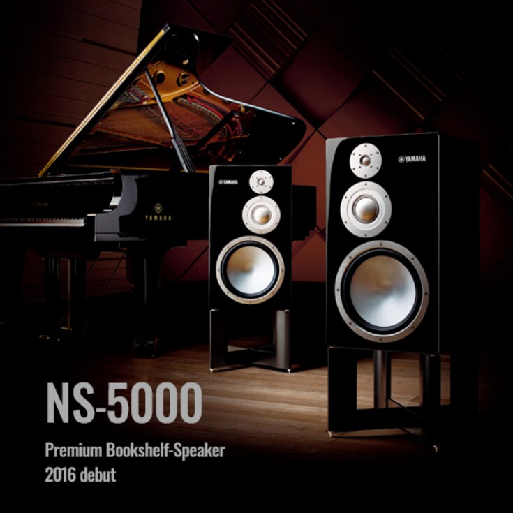 NS-5000