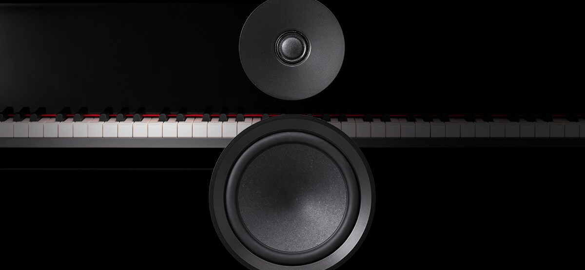 NS-800A - Overview - Speaker Systems - Products - Home Audio