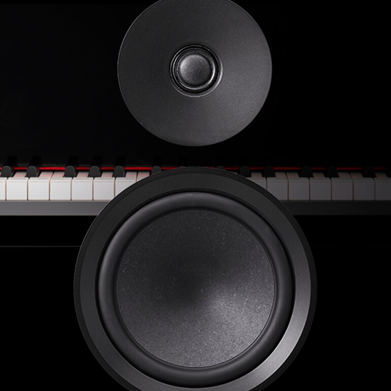 NS-800A - Overview - Speaker Systems - Products - Home Audio