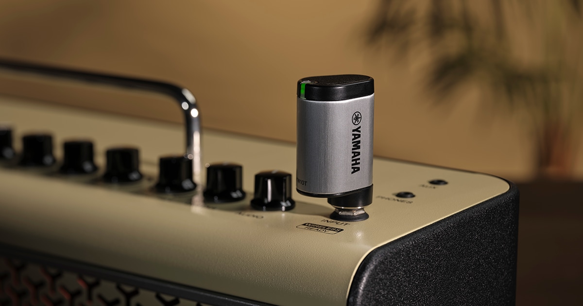 YW10T - Overview - Guitar Amps - Products - Guitars, Basses & Amps