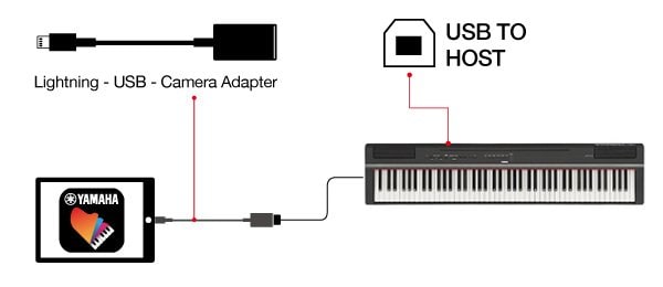 keyboard ipad pro 2019