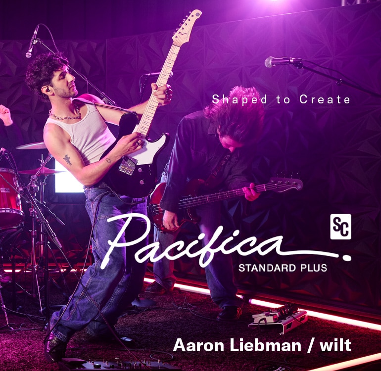 wilt / Aaron Liebman performing on stage with Pacifica SC Standard Plus (PACS+11SM BL)