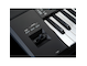 Close-up of Yamaha Arranger Workstation PSR-SX920 joystick