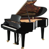 Yamaha S5X SH3