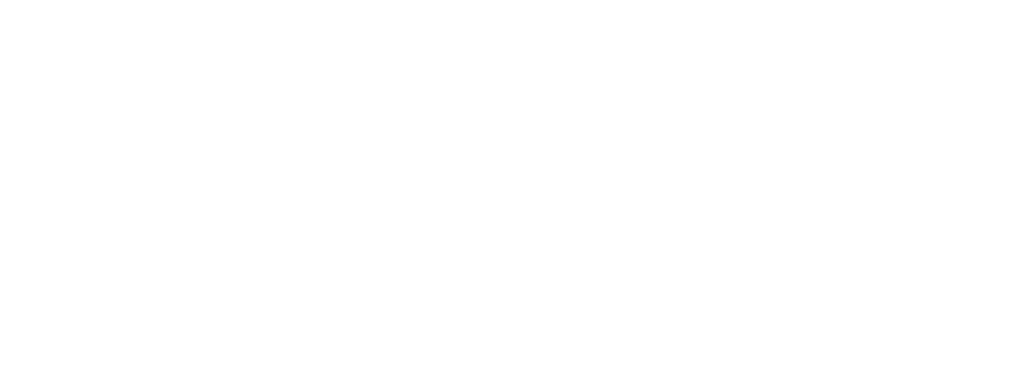 SILENTVIOLIN