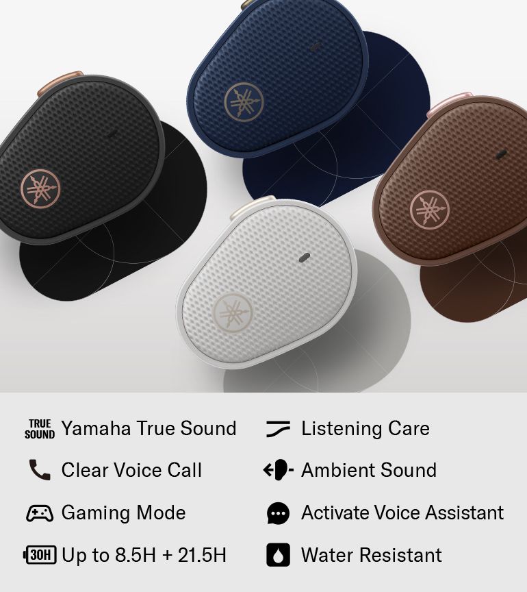 TW-E5B - Overview - Headphones & Earphones - Audio & Visual 