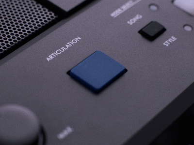 PSR-E583 Feature image of ARTICULATION Button