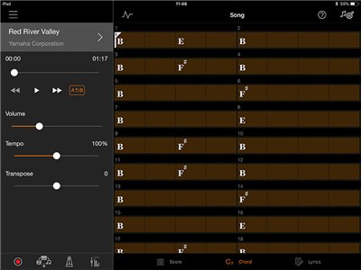 Play your favourite songs right away with chord progression