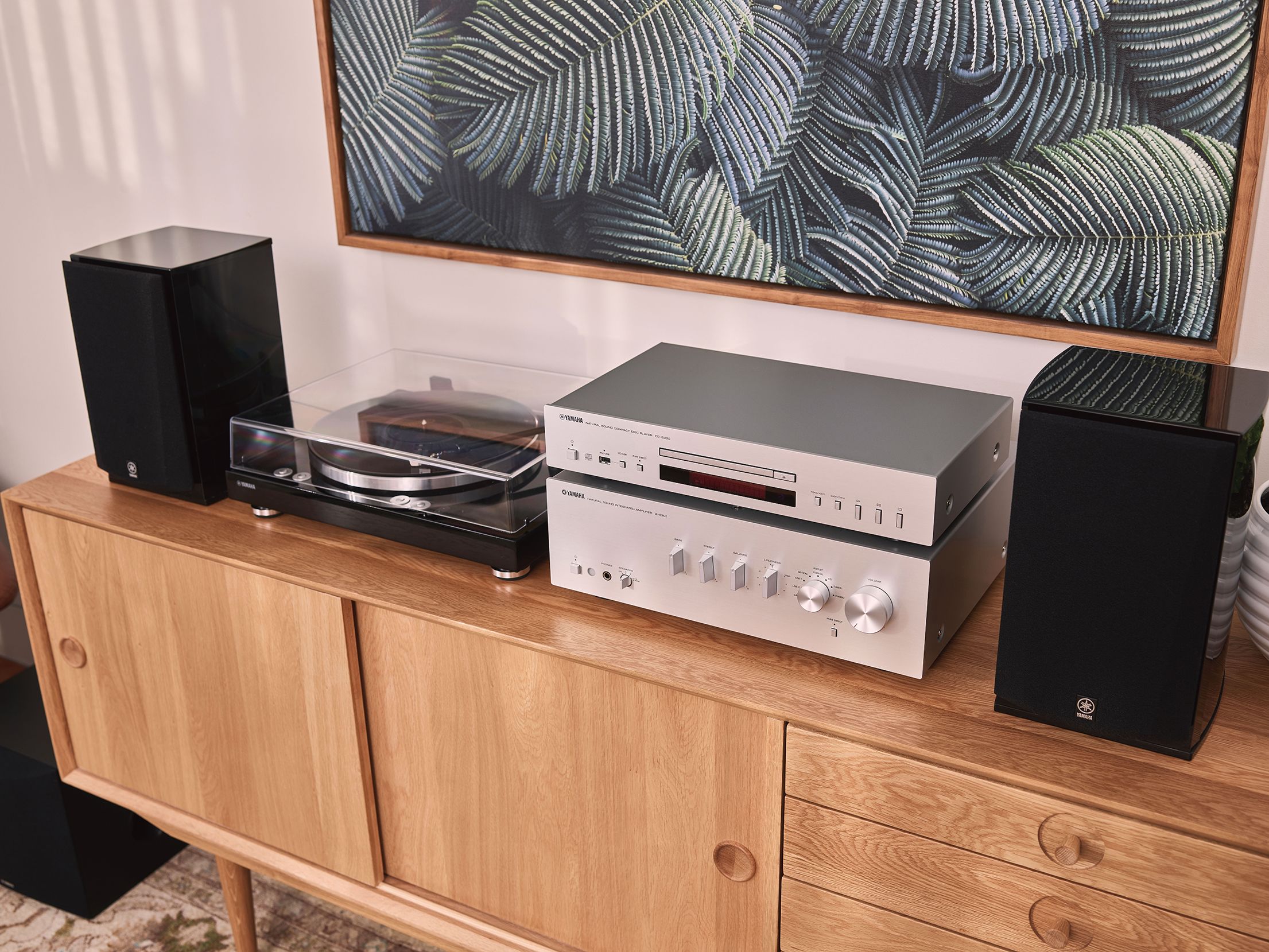 TT-S303 - Overview - HiFi Components - Audio & Visual