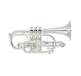YCR-8335