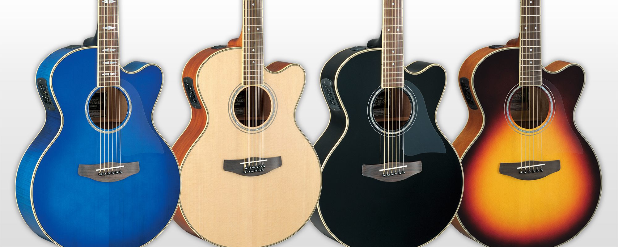 CPX - Overview - Acoustic Guitars - Guitars, Basses & Amps 