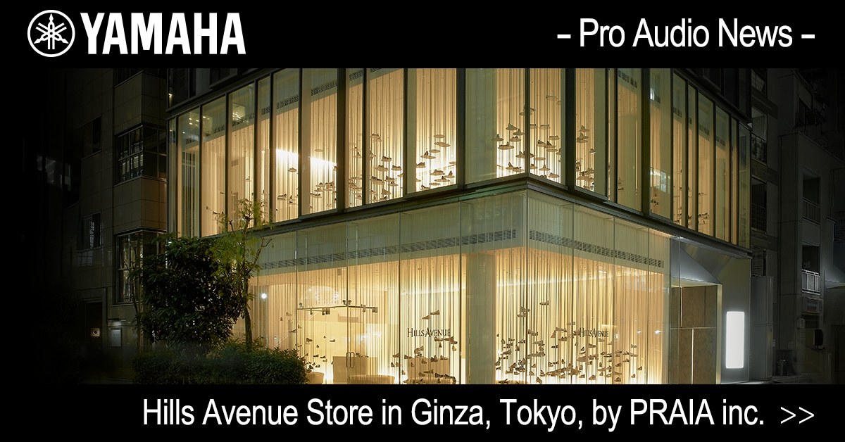 Hills Avenue Store in Ginza, Tokyo, by PRAIA inc.