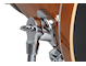 BD Leg