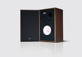 History of Speaker - Yamaha - Other European Countries