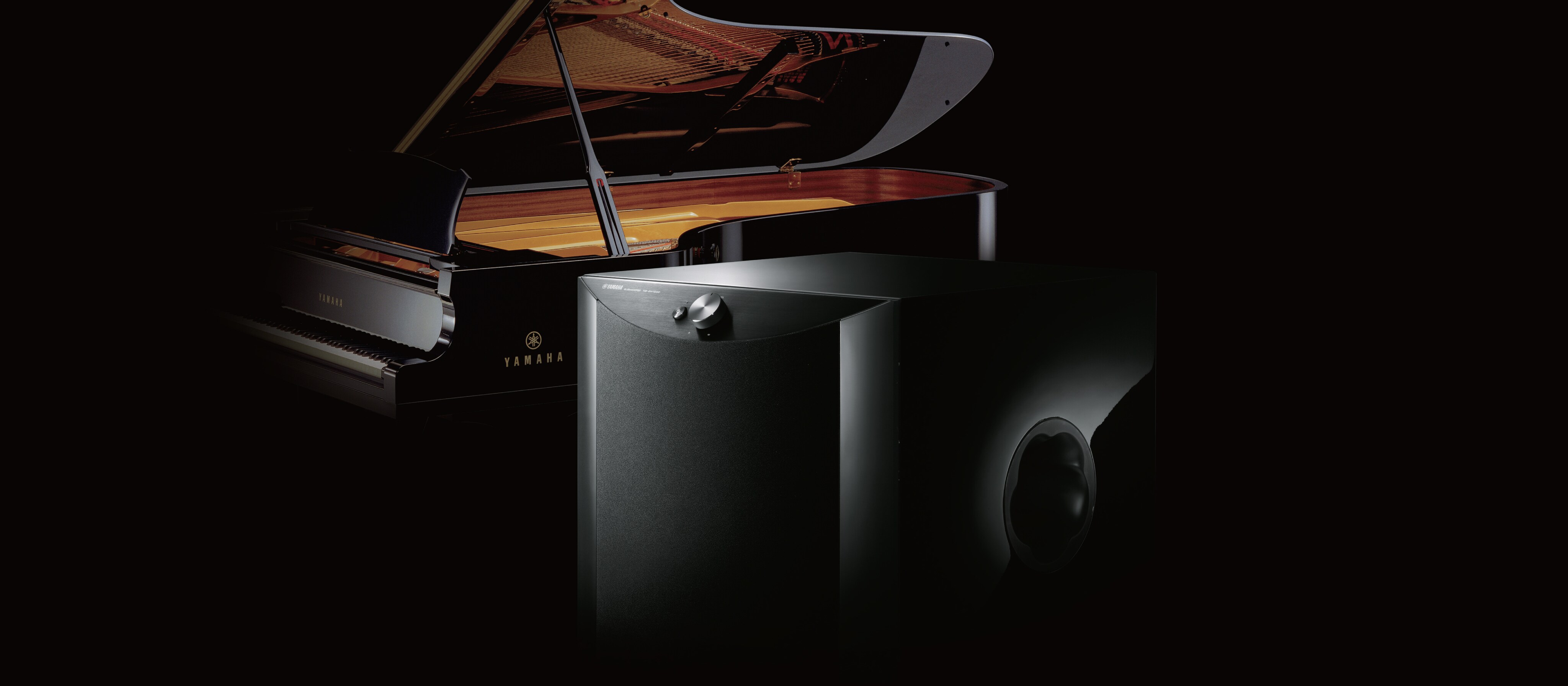 NS-SW1000 - Overview - Speaker Systems - Products - Home Audio