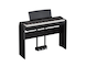 P-121_Black_angle_stand_pedal