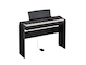 P-121_Black_angle_stand_pedal