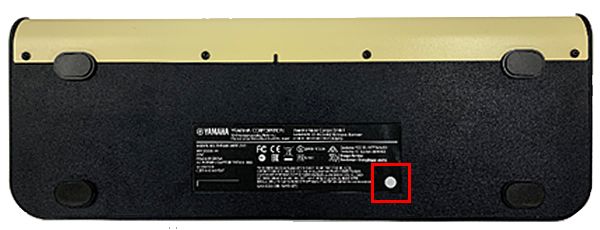 Important Firmware Update for Yamaha THR10II Wireless/THR30II Wireless  Guitar Amps - Yamaha - Other European Countries