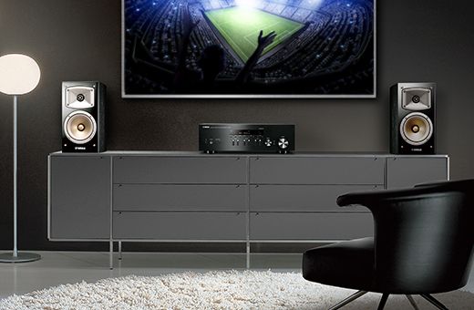 R-N303 - Overview - HiFi Components - Audio & Visual - Products