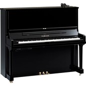 Yamaha SE132 SH3