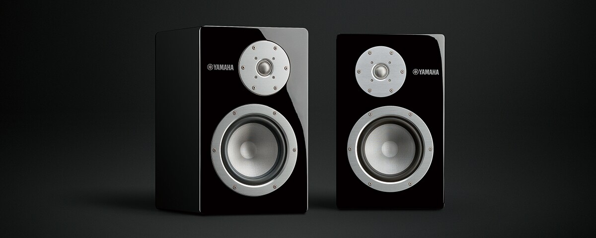 NS-3000 - Overview - Speaker Systems - Products - Home Audio
