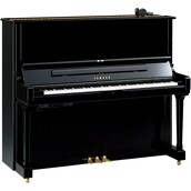 Yamaha SU7 SH3