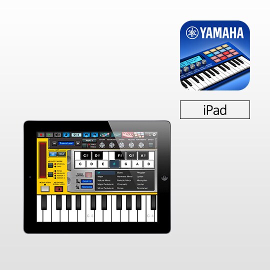 i-MX1 - Overview - Accessories - Products - Keyboard Instruments