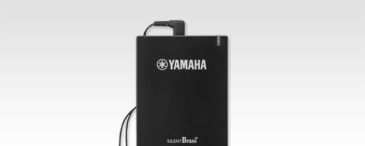 Personal Studio™ STX - Overview - SILENT Brass™ - Products