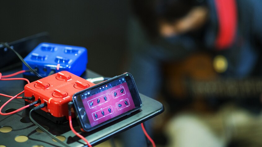 【YAMAHA】SESSIONCAKE red SessionCake - Overview - Guitar Amps & Accessories - Guitars