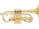 Bell: Yellow brass, Finish: Clear lacquer