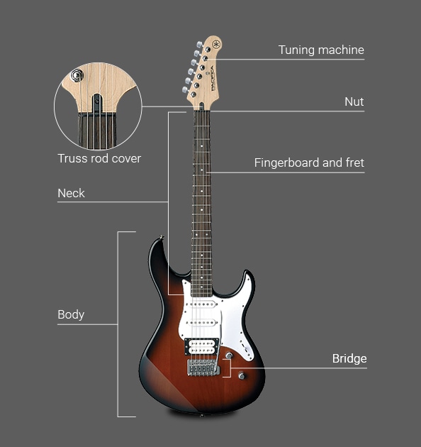 The Structure of the Electric Guitar：What kind of instrument is