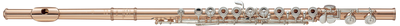 YFL-994B MV