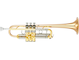 Bell: Gold brass, Finish: Clear lacquer